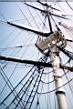 /tallships06.jpg